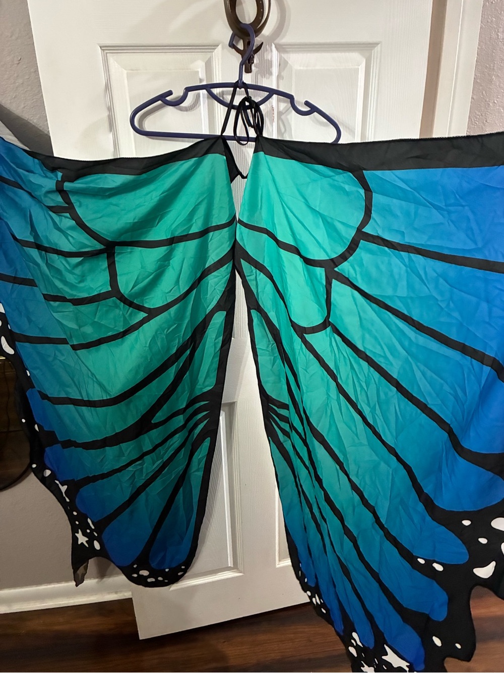 Adult Butterfly Costume
